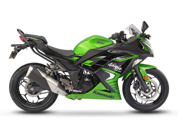 Kawasaki Ninja 300 Key Features