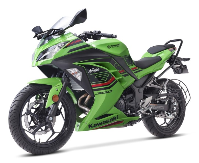 Kawasaki Ninja 300 Launch 