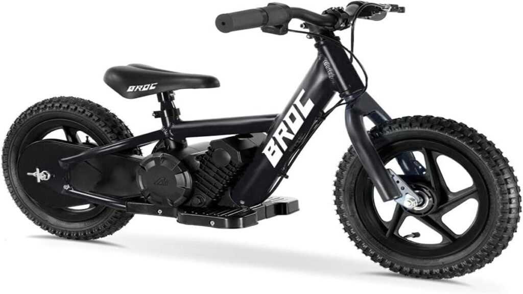 Top 5 Electric  Bikes for kids 