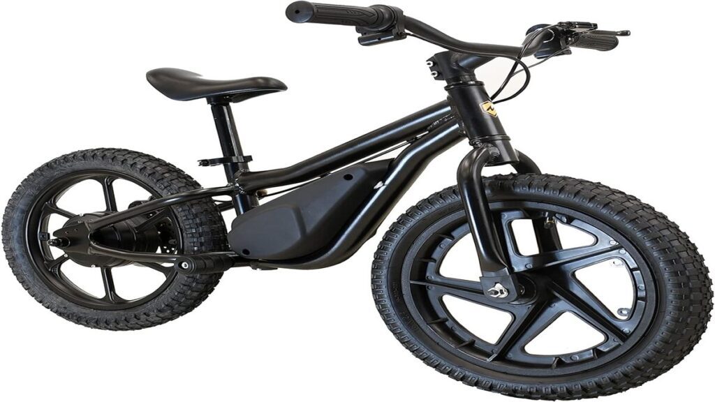 Top 5 Electric  Bikes for kids 