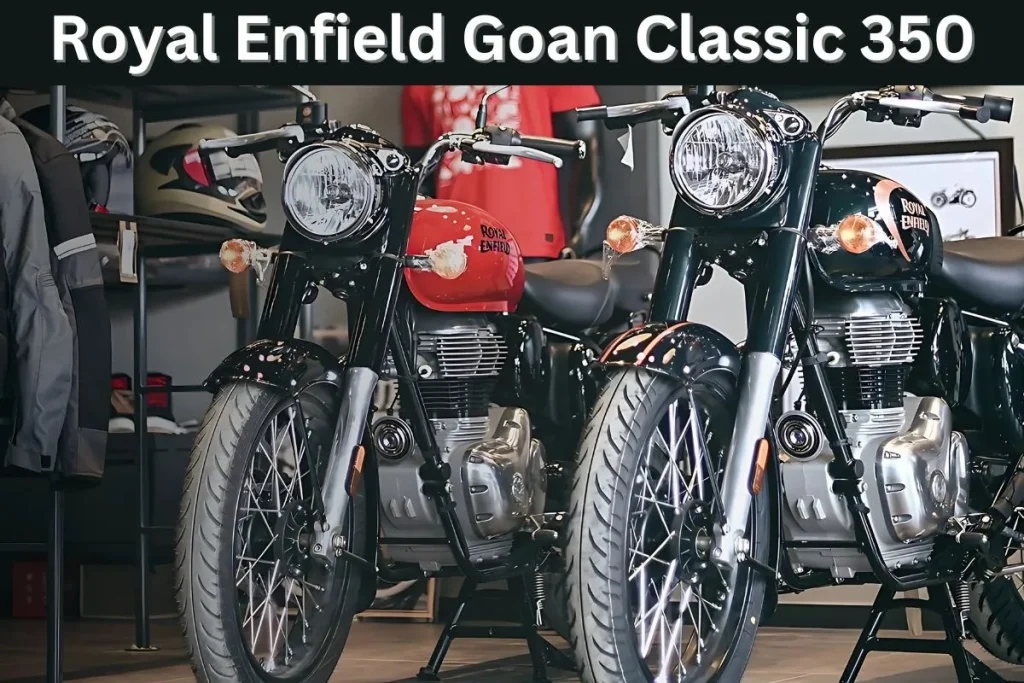 Royal Enfield Goan Classic 350 (3)