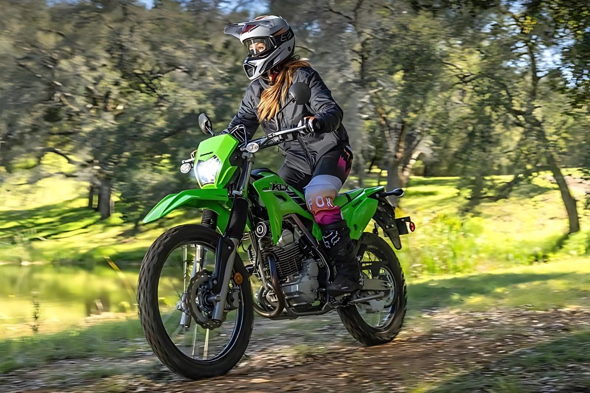 kawasaki klx 230 on road price in india